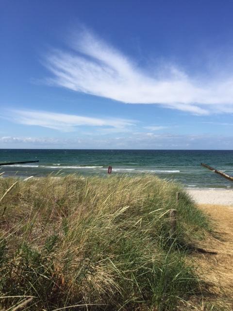 Grosse Kirr Villa Zingst Bagian luar foto