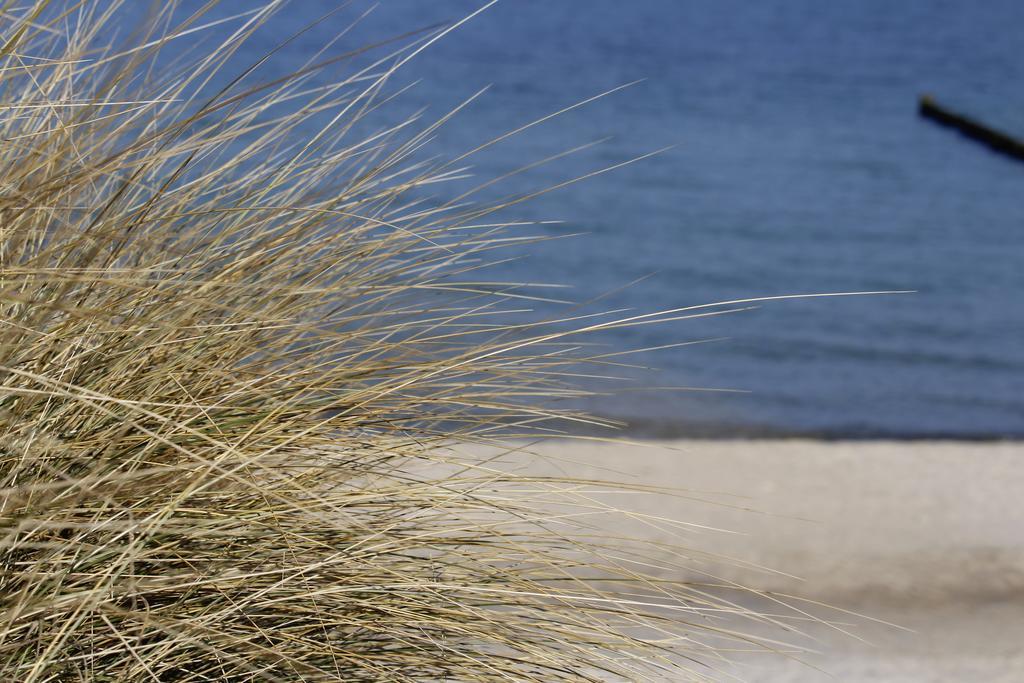 Grosse Kirr Villa Zingst Bagian luar foto
